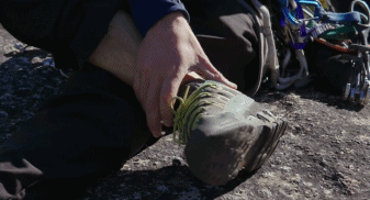 1589451582262856.gif 2121.gif